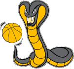 CT Cobras AAU