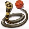 Cobras 8th Grade A Team