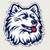UConn Huskies Sports